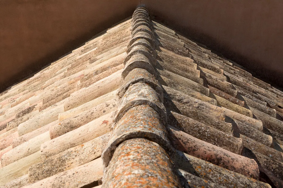 Slate vs Concrete Tiles for UK Roofs: A Homeowner's Comparison